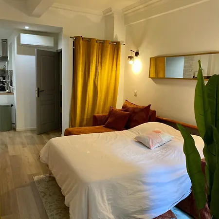 Spacieux Studio Et Jardin Prive Nice